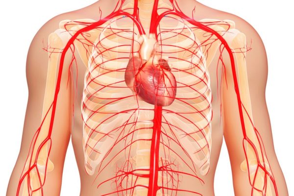 Como-Identificar-Sinais-de-Má-Circulação